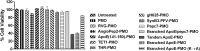 <b>FIG. 2.</b>