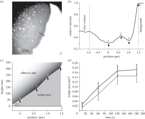 Figure 2.