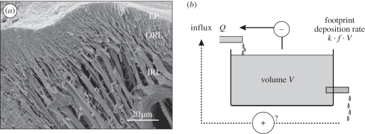 Figure 3.