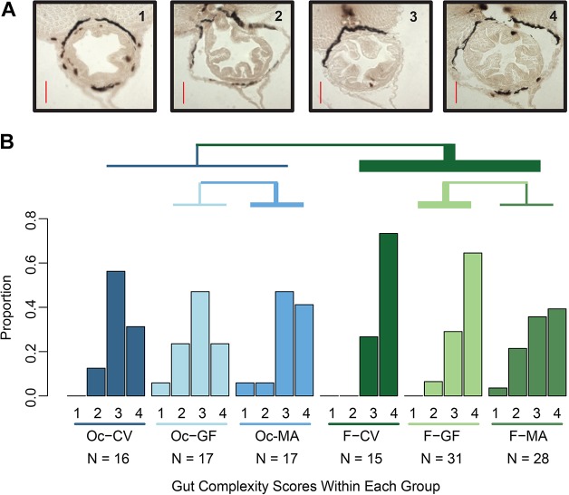 Fig. 3.