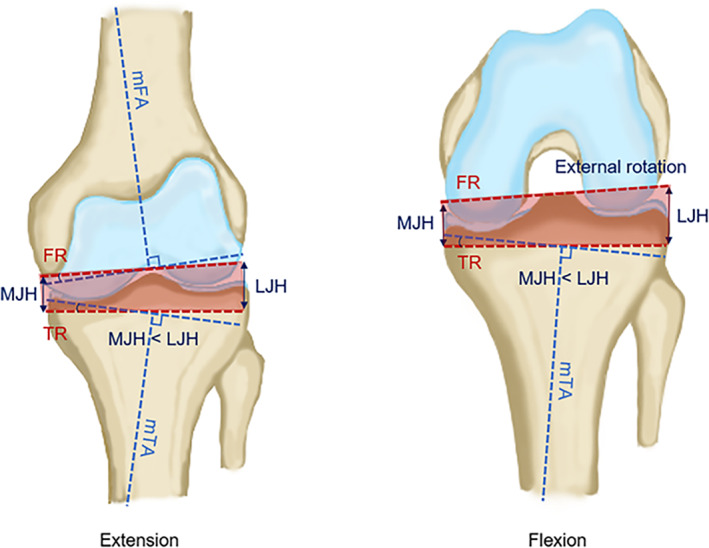 Fig. 4