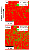 Fig. 10