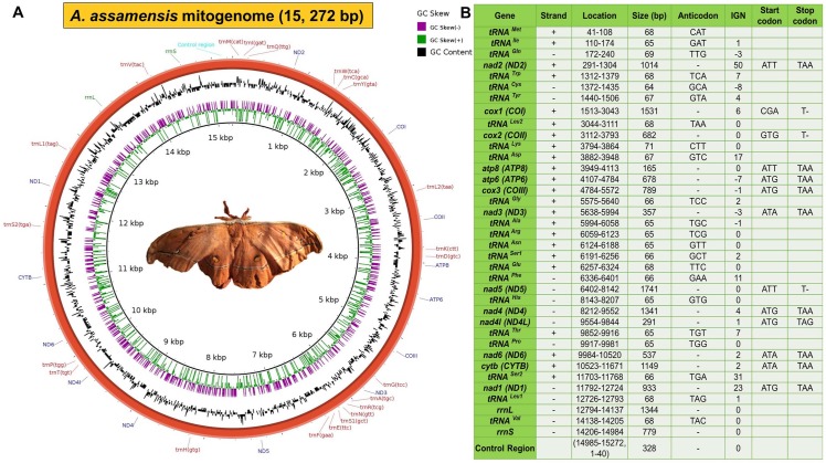 Fig 2