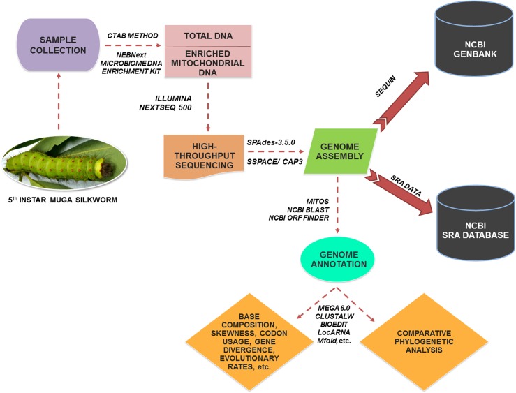 Fig 1