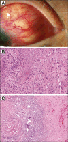 Fig 7