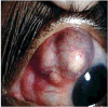 Fig 8