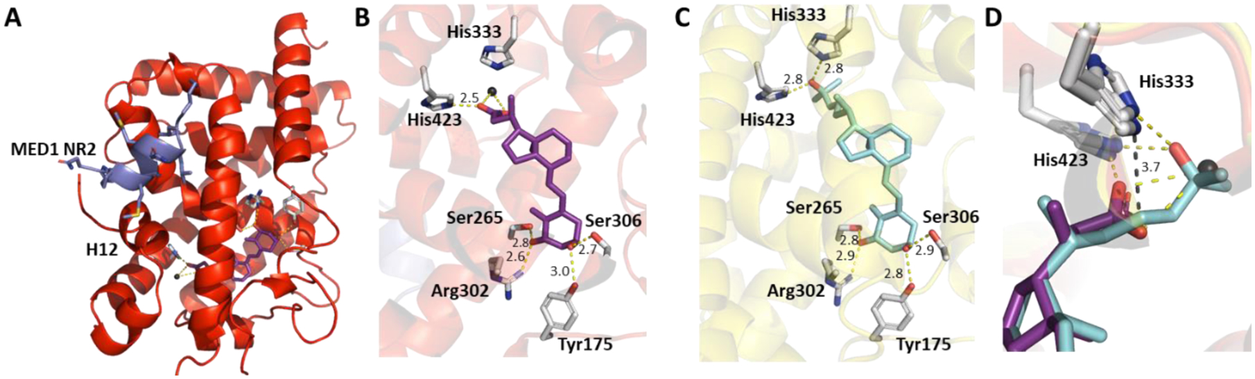 Figure 2.