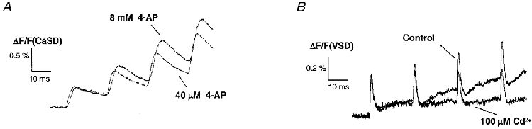 Figure 8