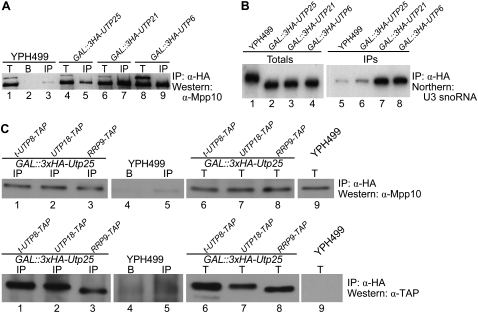 FIGURE 4.