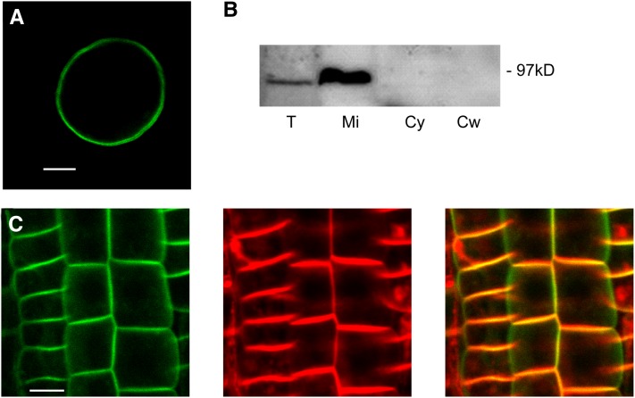 Figure 2.