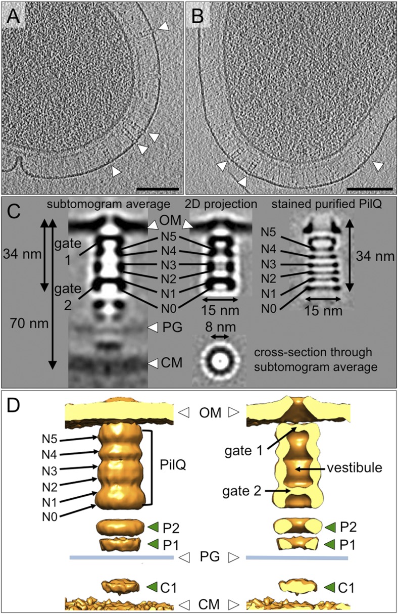 Figure 3.