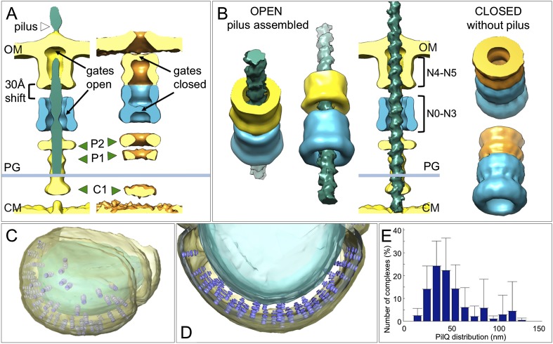 Figure 5.