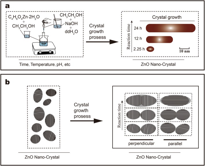 Scheme 2