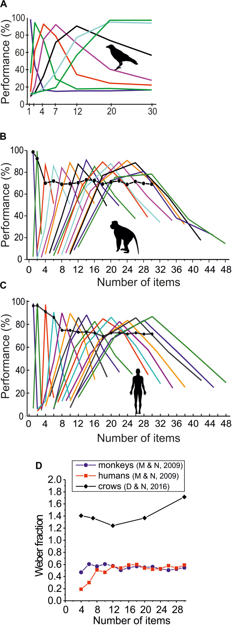 FIGURE 3