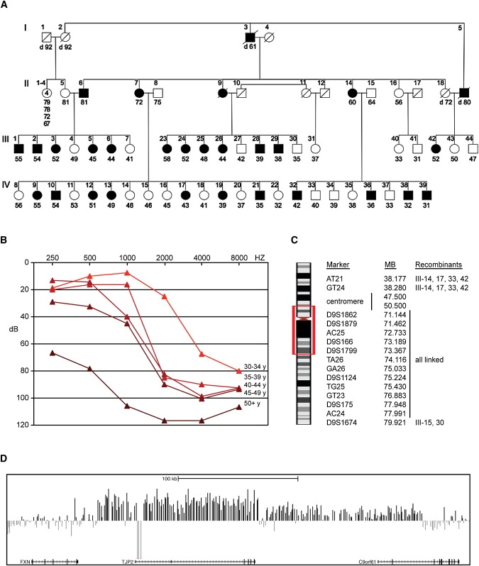 Figure 1