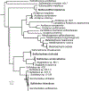 Extended Data Fig. 4 |