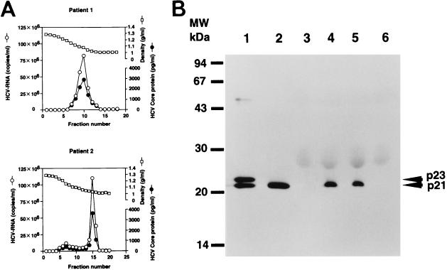 FIG. 7