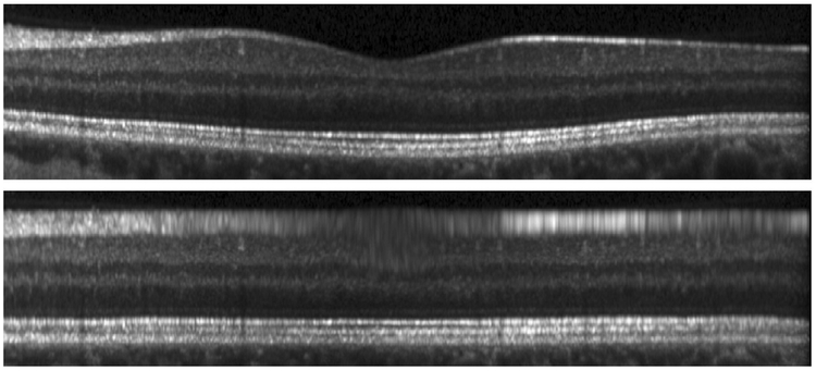 Figure 2: