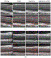 Figure 10: