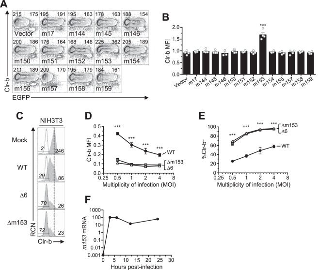 FIG 3