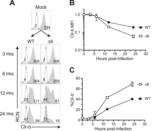 FIG 2