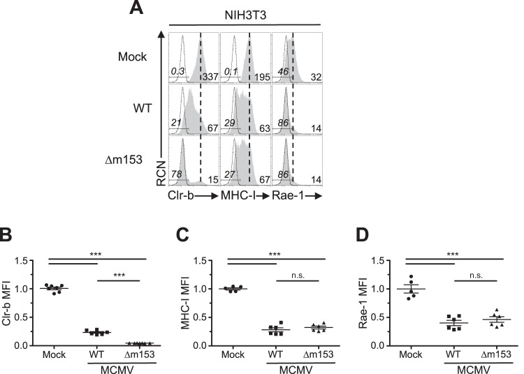 FIG 6