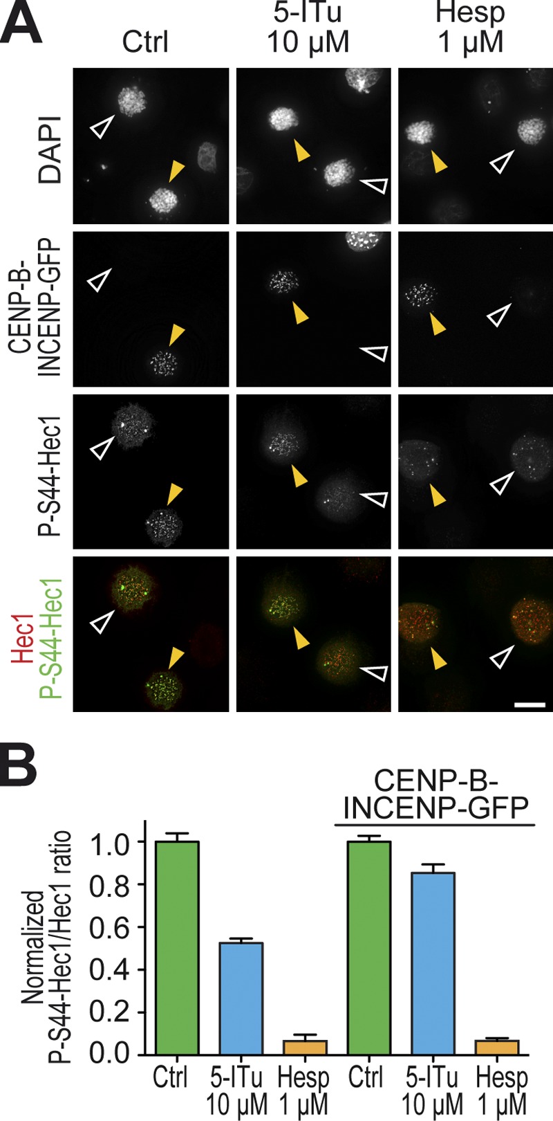 Figure 6.