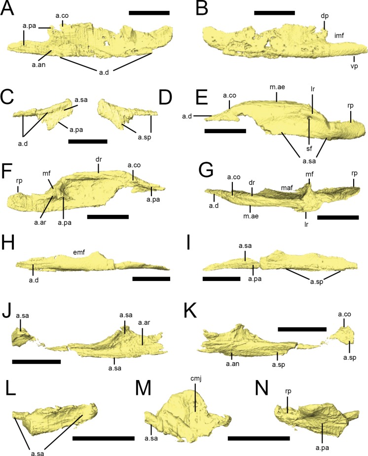 Figure 11