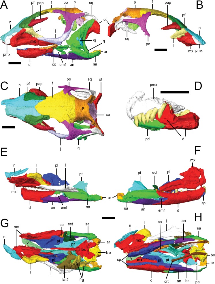 Figure 2