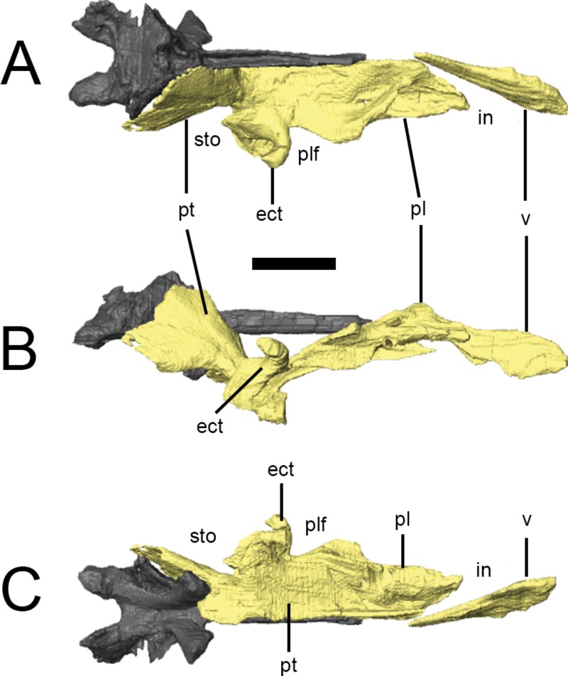 Figure 7