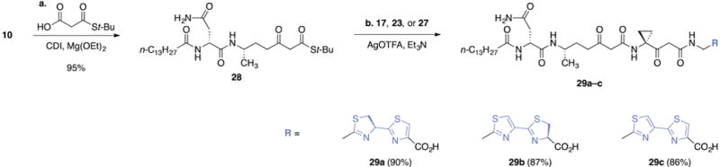 Scheme 3