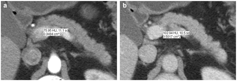 Fig. 5