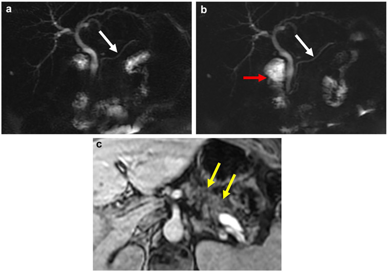 Fig. 8