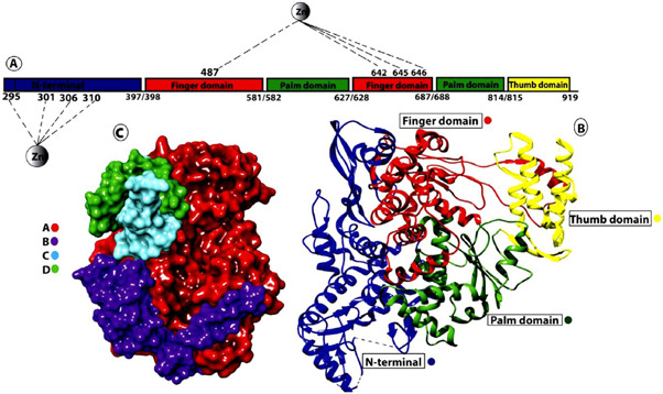 Figure 19