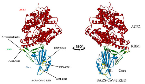 Figure 16