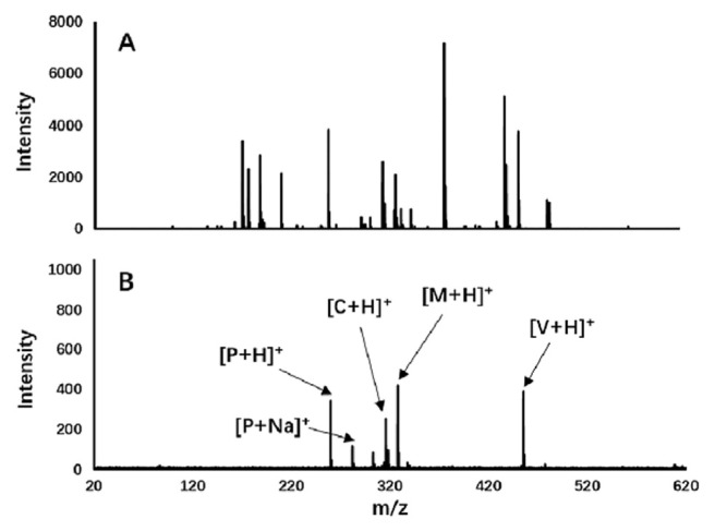 Fig. 9