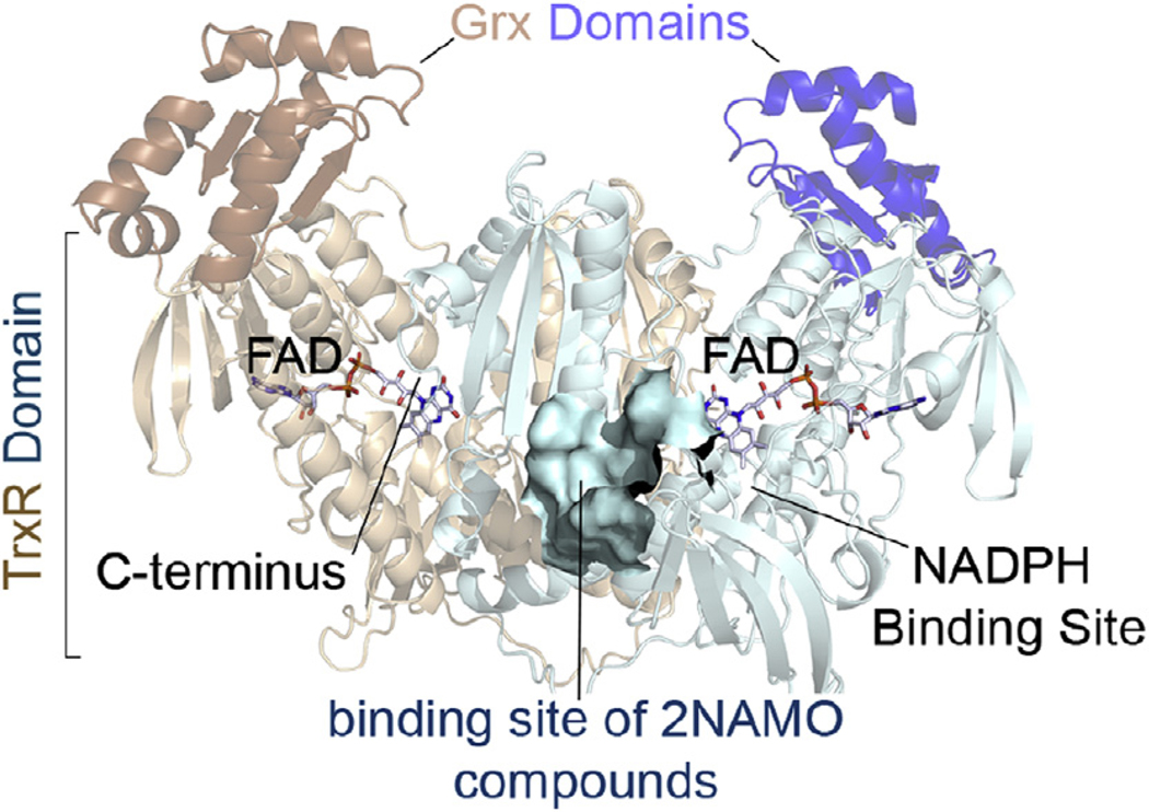 Fig. 1.