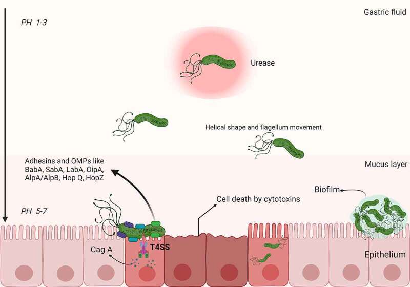 Figure 1.