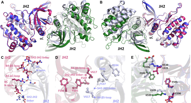 Fig. 6.