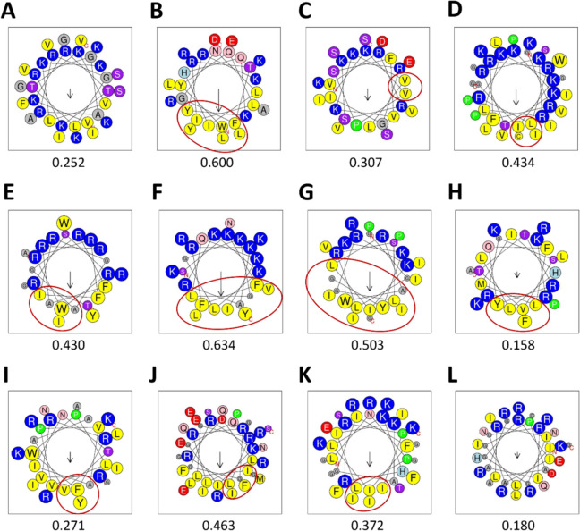 Figure 1