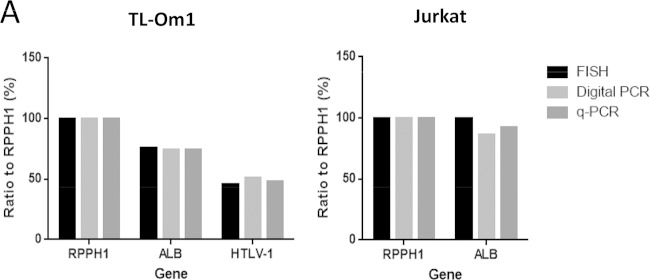 FIG 6