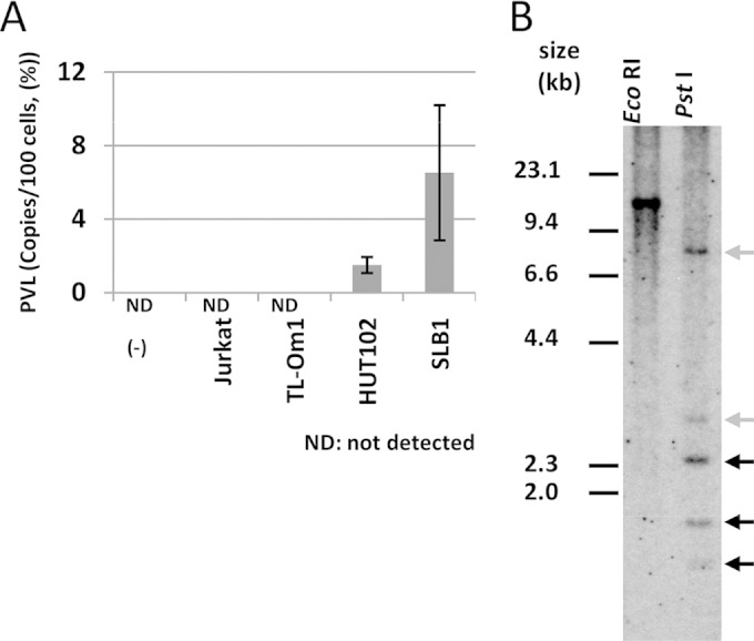 FIG 1