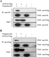 Figure 5