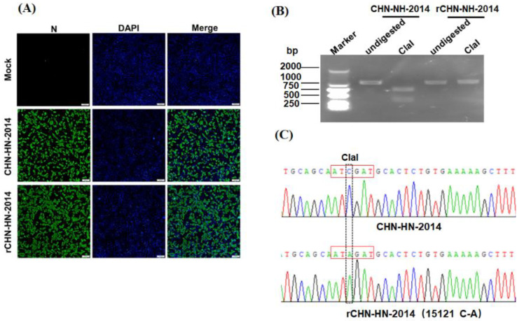 Figure 2