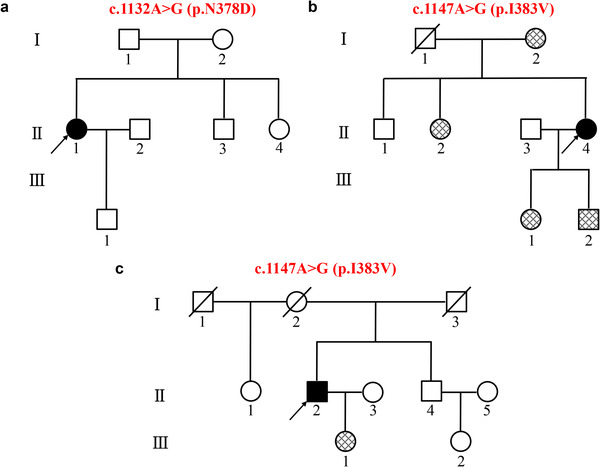 FIGURE 1