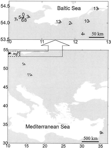 FIG. 1.