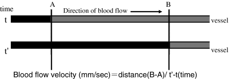 Fig. 3