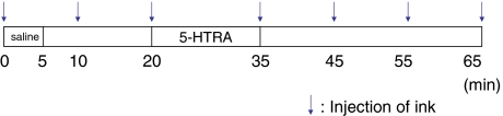 Fig. 2