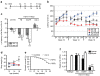 <b>Figure 4</b>