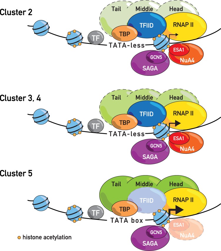 Figure 6.